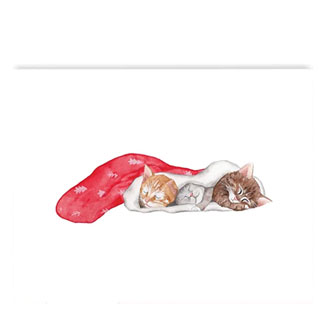 CHATONS DE NOËL