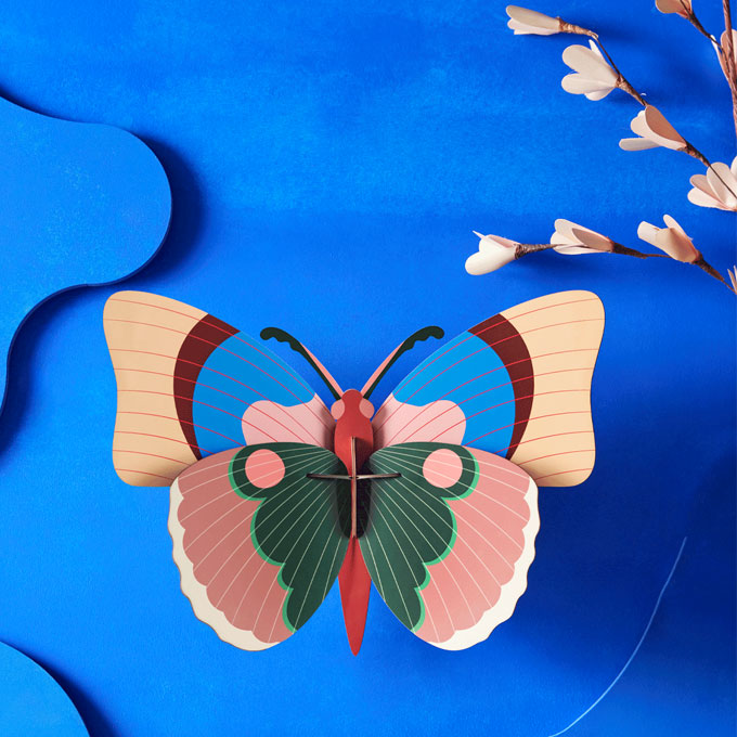 CEPORA BUTTERFLY