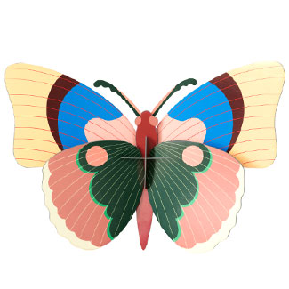 CEPORA BUTTERFLY