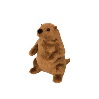 MR. G LA MARMOTTE
