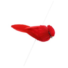 CARDINAL