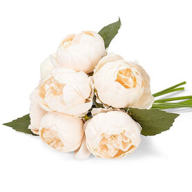 PIVOINE