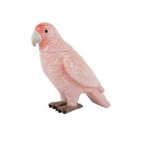 OISEAU