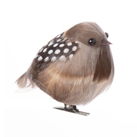 CHUBBY