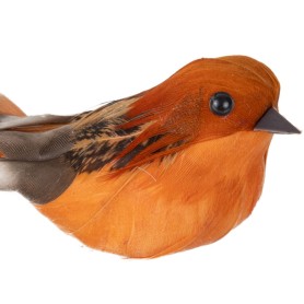 OISEAU GUSTAVIO