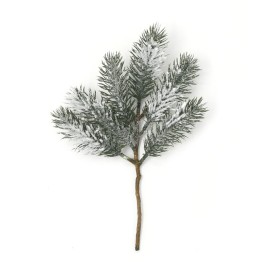 SNOWY PINE