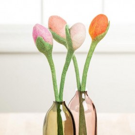 TULIPE NEPAL