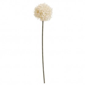POM-POM