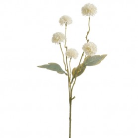 CHRYSANTHEME