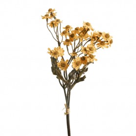 CAMOMILLE
