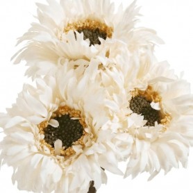 PAQUERETTE 