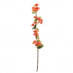 FLEURS POIRIER