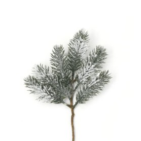 SNOWY PINE