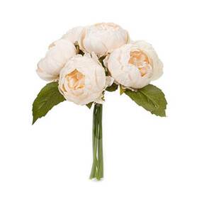 PIVOINE