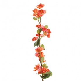 FLEURS POIRIER