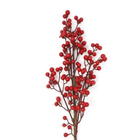 BERRY PICK