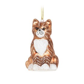 TABBY