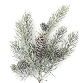 PINE GLITTER