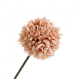 POM-POM