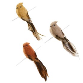 OISEAU