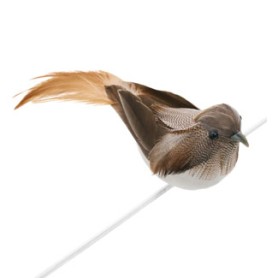 OISEAU